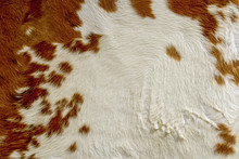 Red And White Cow Hide