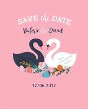 Wedding Illustrations With Swan, Save The Date Card