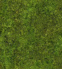 Wall Mural - closeup of green moss seamless background