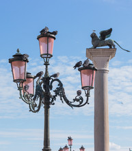 Pigeons Are Sitting On Lamppost In St. Mark's Square