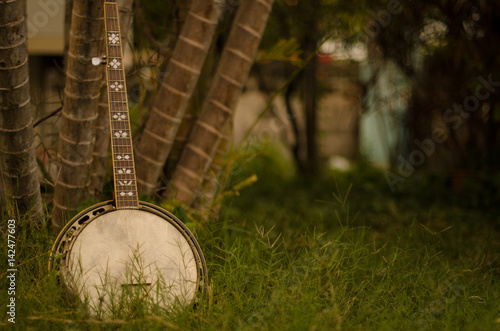 Cuadros en Lienzo An old banjo rests on a piece of green on a farm lawn