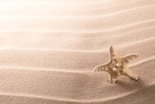 Lonely Sea Star Fish Or Starfish Standing On The Rippled Beach Sand. Starfish Texture Background With Copy Space.