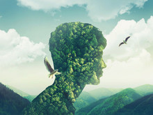 Creative Double Exposure Man Nature, Sky, Green Forest