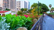 © Margarita - Miami, Florida