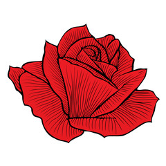 Poster - Hand drawn red rose