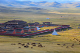 Fototapeta  - Amarbayasgalant Monastery in northern Mongolia