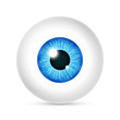 Vector realistic human eyeball