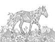 Coloring page in zentangle inspired doodle style. Running horse on flowering meadow.