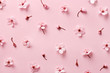Flower blossom pattern on pink background. Top view