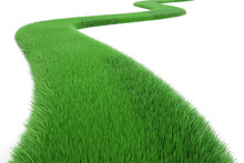 Green Grass Way, 3D Rendering
