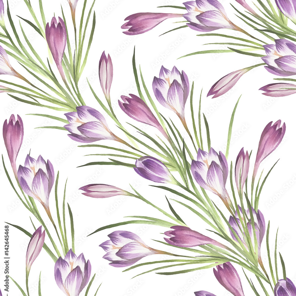 Seamless pattern with crocus. Hand draw watercolor illustration. Stock ...