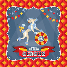 Circus Card With A Poodle