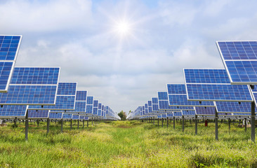 Canvas Print - solar panels in power station alternative energy from the sun 