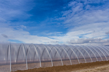 Greenhouse exterior on blue sky