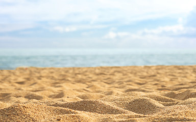 Canvas Print - sand beach