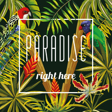 Slogan Paradise Righ Here Flowers Leaves Parrot Black Background