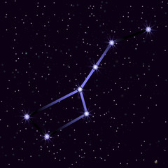 Wall Mural - Ursa Major