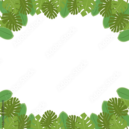 南国の植物 葉っぱのフレーム コピースペース 背景素材 白背景 ベクター 正方形 Stock Vector Adobe Stock