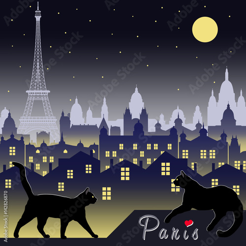 Two Black Cats On The Background Of Paris At Night Handmade