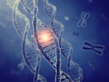 Dna Double Helix Molecules And Chromosomes , Genetic Code And Gene Mutation