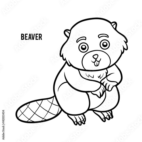 Coloring book, Beaver: comprar este vector de stock y explorar vectores