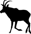 © Friedemeier - Silhouette of a walking horse antelope, hand drawn vector illustration isolated on white background
