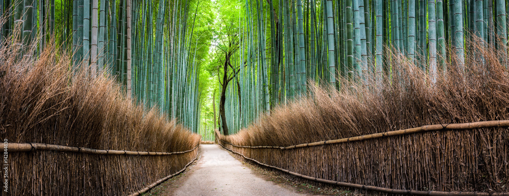 Japanischer Bambuswald in Arashiyama, Kyoto, Japan - obrazy, fototapety, plakaty 