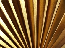 Gold Fan Texture