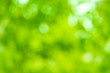 © suthisak - Green blurred background and sunlight,  spring season.