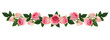 Pink rose flowers and buds line arrangement