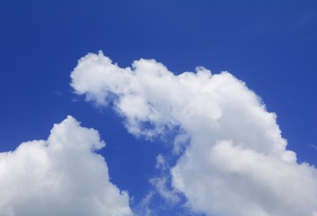 blue sky with cloud and raincloud, the art of nature beautiful and copy space for add text