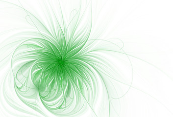 Wall Mural - Abstract green flower on a white background