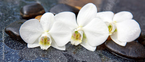 Naklejka na kafelki Trzy kwiaty storczyków z kamyczkami