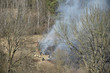 Firefighters extinguish a fire of dry grass next to the forest, smoke rising near the beehives.
