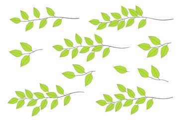 Wall Mural - green tree branches set