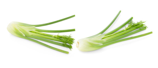 Wall Mural - closeup fresh fennel bulb isolated on white background