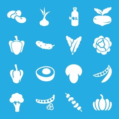 Wall Mural - Set of 16 vegetable filled icons