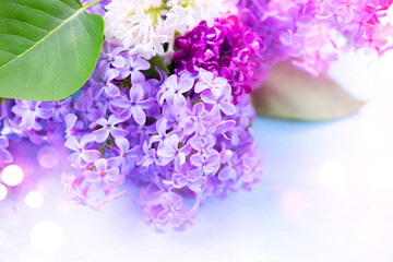 Sticker - Lilac flowers bunch over blurred background