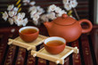 Chinese tea set with spring flowers