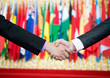 © xy - Businessmen shaking hands in front of the multi - national flag.    international business
