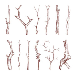 hand drawn wood twigs, wooden sticks, tree branches vector rustic decoration elements