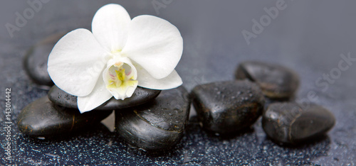 Zdjęcie XXL Pojedyncza biała orchidea i czarni kamienie zamykamy up.