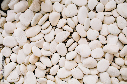 Naklejka na szybę Neutral pattern of pale beige stones. Flat lay, top view