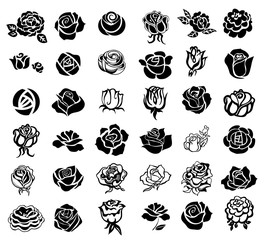 Roses design elements