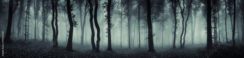 Obraz na płótnie dark forest panorama fantasy landscape w salonie