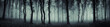canvas print picture - dark forest panorama fantasy landscape