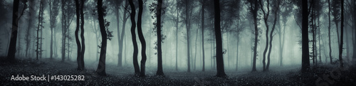 Foto-Schiebegardine ohne Schienensystem - dark forest panorama fantasy landscape (von andreiuc88)