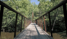 Low Angle View Of Suspension Bridge Across Creek In Forest