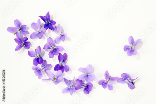Obrazy fioletowe  fioletowe-kwiaty