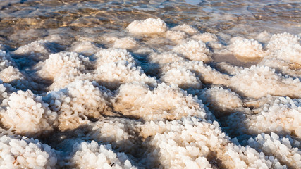 Poster - sea salt on beach of Dead Sea in sunny winter day